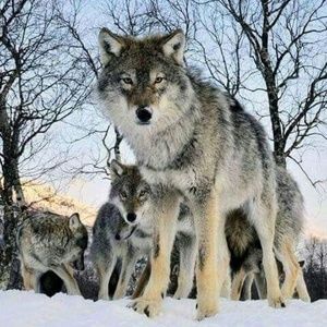 Meet your Posher, Marcus